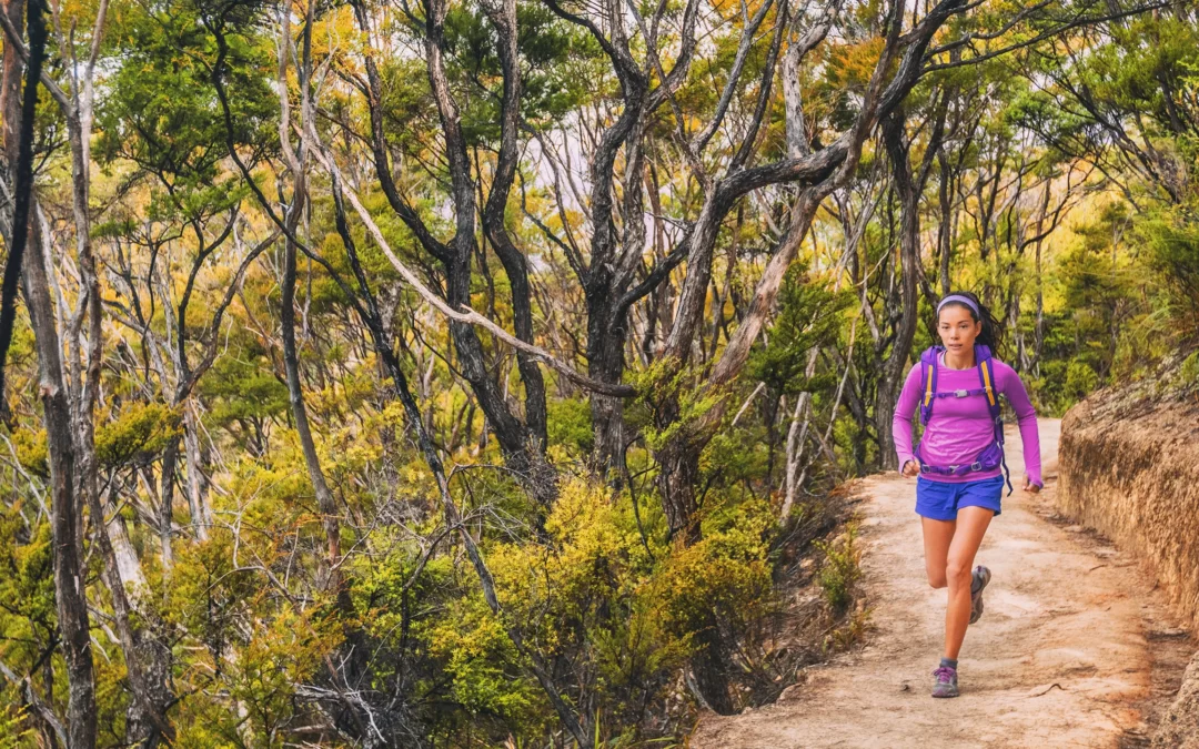 Court Rejects Bias Allegations Against Local Planning Panel