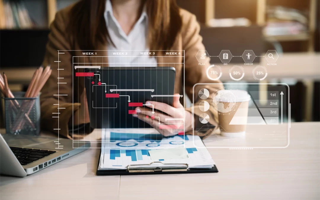 What Constitutes the Making of a Development Application?