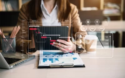 What Constitutes the Making of a Development Application?